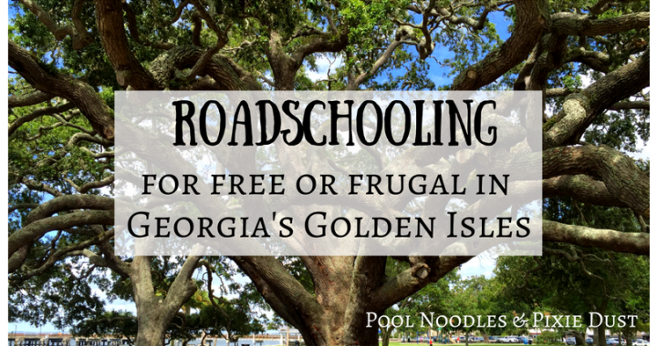 Roadschooling in Georgia's Golden Isles - Pool Noodles & Pixie Dust