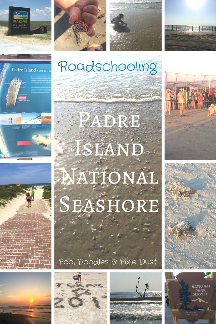 Roadschooling in Padre Island National Seashore. - Pool Noodles & Pixie Dust