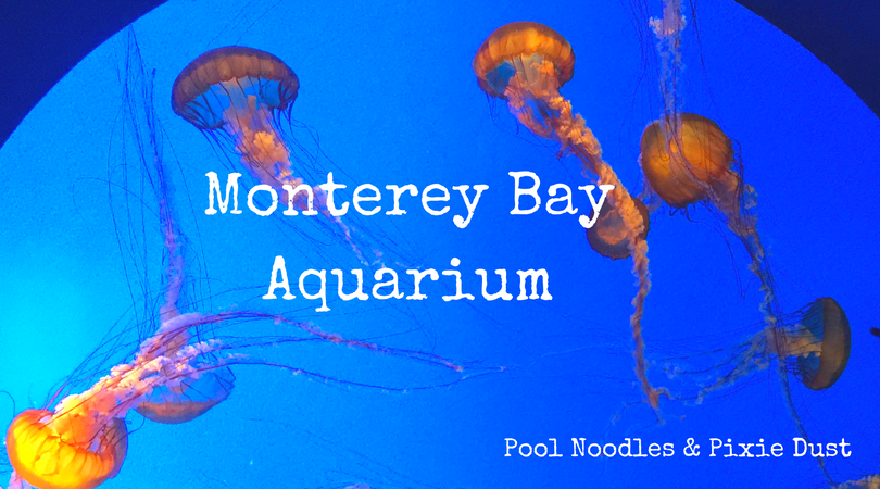 Jellyfish at Monterey Bay Aquarium, CA - Pool Noodles & Pixie Dust