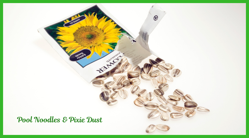 Sunflower Seed Name Writing Activity - Pool Noodles & Pixie Dust