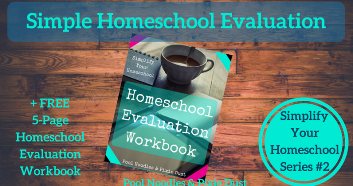 Simple Homeschool Evaluation & Workbook - Pool Noodles & Pixie Dust