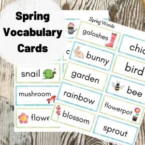 These free spring vocabulary words cards make a quick and easy writing center. Pool Noodles & Pixie Dust