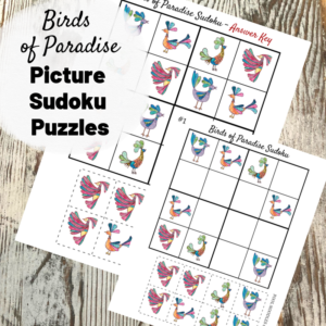 Birds of Paradise Picture Sudoku