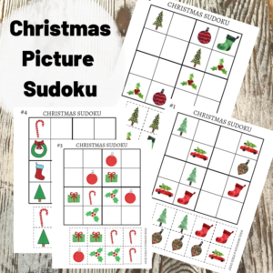 Christmas Picture Sudoku - Pool Noodles & Pixie Dust