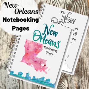 New Orleans Notebooking Pages - Pool Noodles & Pixie Dust