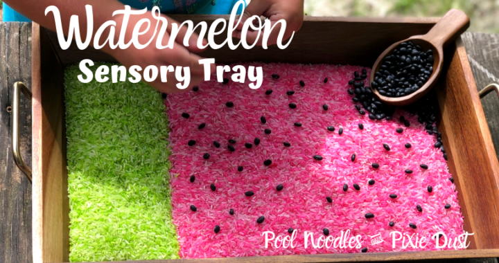 Watermelon Sensory Tray - Pool Noodles & Pixie Dust