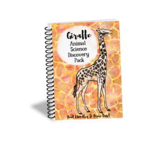 Giraffe Animal Science Discovery Pack - Pool Noodles & Pixie Dust