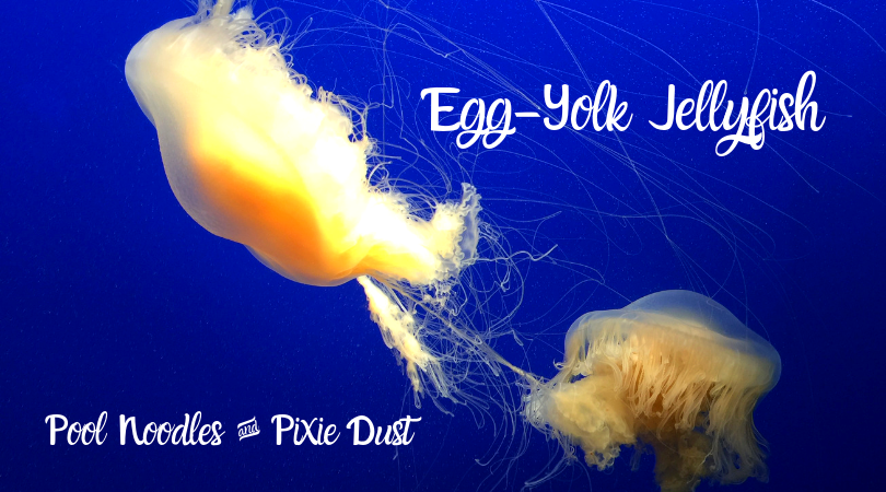 Egg-Yolk Jellyfish - Free Jellyfish Notebooking Pages - Pool Noodles & Pixie Dust