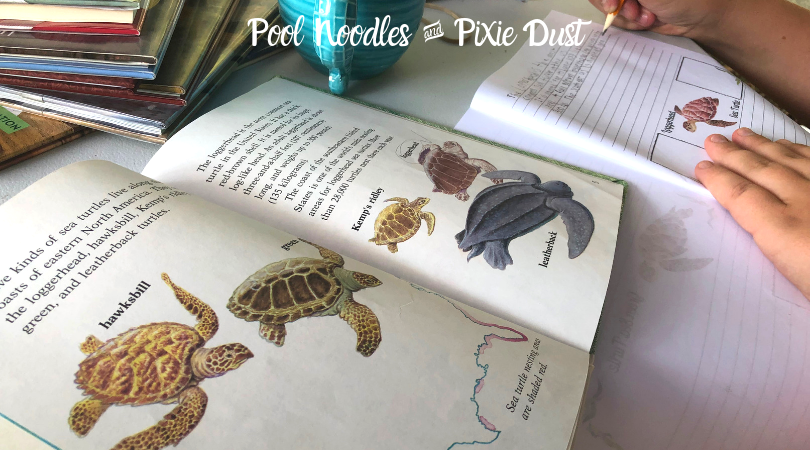Sea Turtle Notebooking Pages - Pool Noodles & Pixie Dust