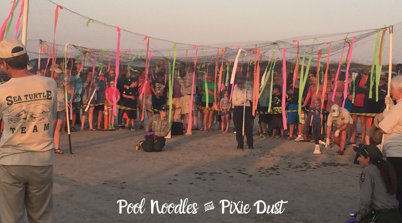 Kemp's Ridley Sea Turtle hatchlings heading to the ocean - Pool Noodles & Pixie Dust