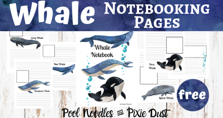 Whale Notebooking Pages - Pool Noodles & Pixie Dust