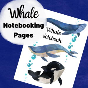 Free Whale Notebooking Pages - Pool Noodles & Pixie Dust