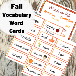Free Fall Vocabulary Word Cards - Pool Noodles & Pixie Dust
